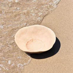 Assiettes Creuses|Céladon Paris Assiette creuse Onda | Corail doré