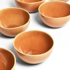 Bols|Céladon Paris Bol moyen | Terracotta sienna