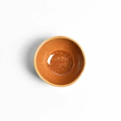 Bols|Céladon Paris Mini bol | Terracotta sienna